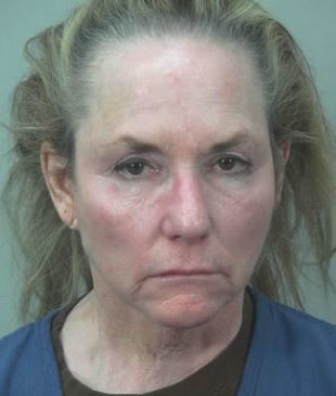 Alleged intoxicated driver didn't realize deputies tried to stop her, Dane County Sheriff says